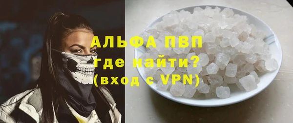 стаф Волоколамск