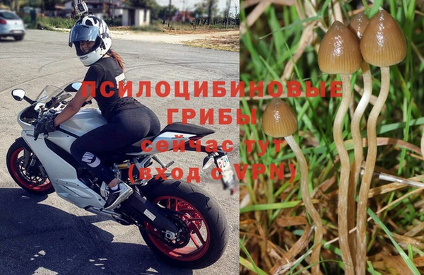 стаф Волоколамск