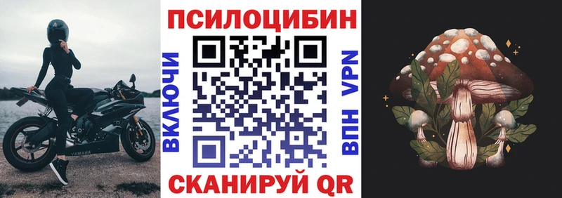 даркнет сайт  hydra маркетплейс  Галлюциногенные грибы Cubensis  Вышний Волочёк 
