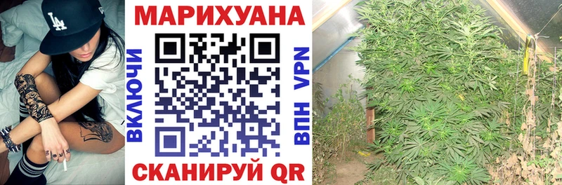 Бошки Шишки Bruce Banner Вышний Волочёк